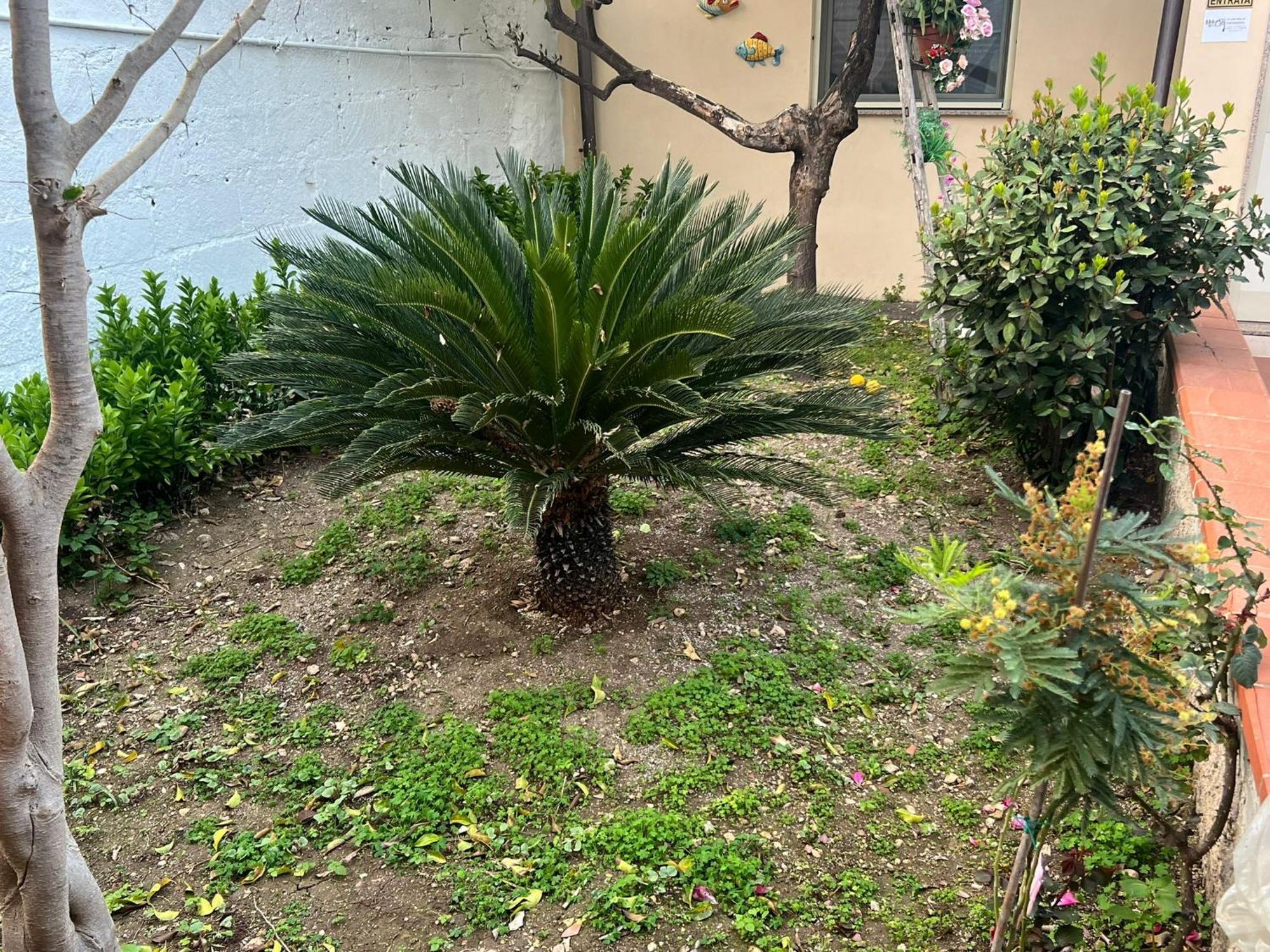 シラクーサNel Giardino Di Nunziatinaアパートメント エクステリア 写真